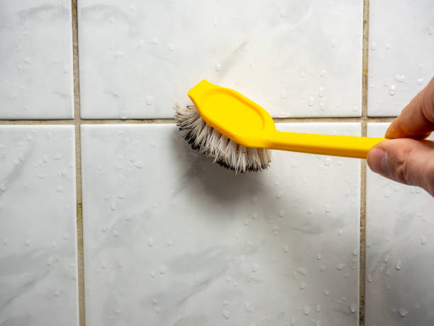 Best Health and Safety Mold Remediation in Kettering, OH