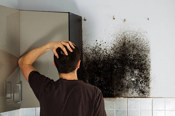 Kettering, OH Mold Remediation Company